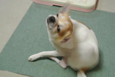 20130225+010_convert_20130410143515.jpg