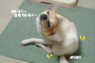 20130225+011_convert_20130225131111.jpg