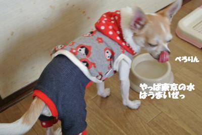 20130225+023_convert_20130225131221.jpg