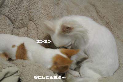20130226+001_convert_20130226104030.jpg