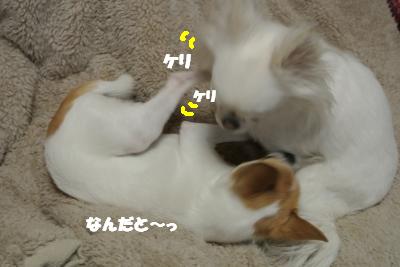 20130226+005_convert_20130226104153.jpg