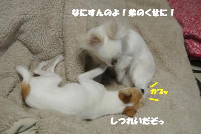 20130226+008_convert_20130226104317.jpg