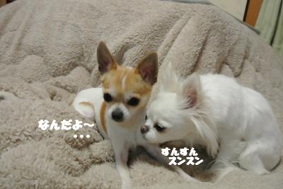 20130226+014_convert_20130226104518.jpg