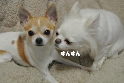 20130226+017_convert_20130226103944.jpg