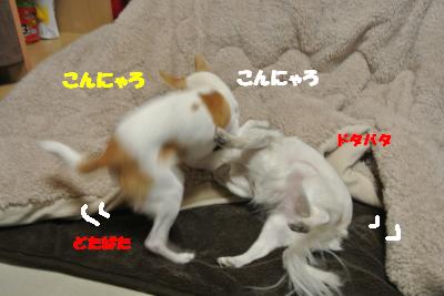 20130226+022_convert_20130226104613.jpg
