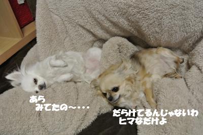 20130227+010_convert_20130306095556.jpg