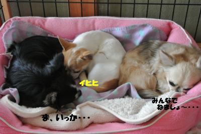 20130228+009_convert_20130228110627.jpg