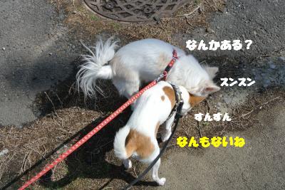 20130301+010_convert_20130228161244.jpg
