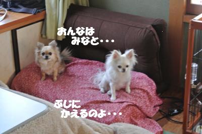 20130301+013_convert_20130228161339.jpg