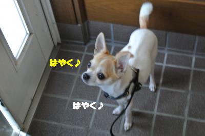 20130301+014_convert_20130228161414.jpg