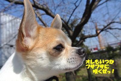 20130301+015_convert_20130228161447.jpg