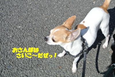 20130301+020_convert_20130228161553.jpg