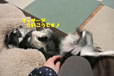 20130301+027_convert_20130301222502.jpg