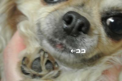 20130301+027_convert_20130308212252.jpg