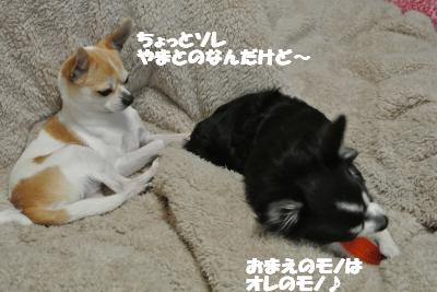 20130304+001_convert_20130305101955.jpg