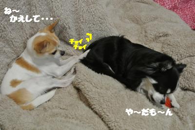 20130304+002_convert_20130305102020.jpg