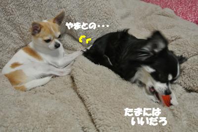 20130304+004_convert_20130305102100.jpg
