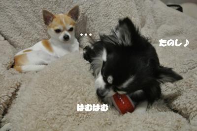 20130304+005_convert_20130305102134.jpg