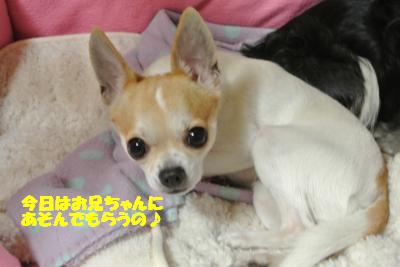 20130304+010_convert_20130305102251.jpg