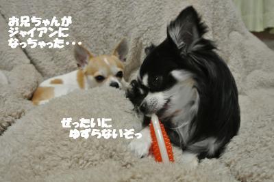 20130304+013_convert_20130305102159.jpg
