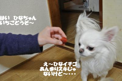 20130304+014_convert_20130304110417.jpg