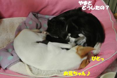 20130304+017_convert_20130305102504.jpg