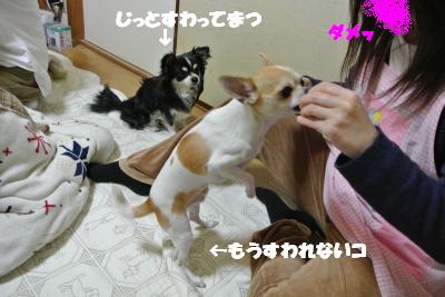 20130304+028_convert_20130304110142.jpg