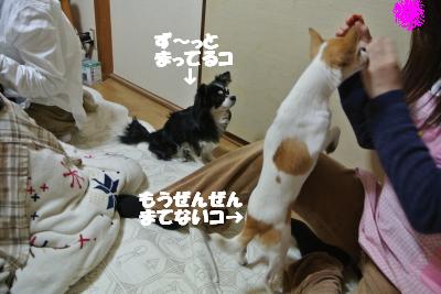 20130304+029_convert_20130304110212.jpg