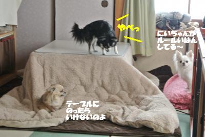 20130307+007_convert_20130312101149.jpg