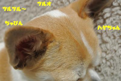 20130307+012_convert_20130327103149.jpg