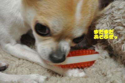 20130307+014_convert_20130322105929.jpg