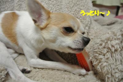 20130307+023_convert_20130307093900.jpg