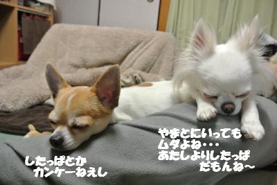 20130308+005_convert_20130308110541.jpg