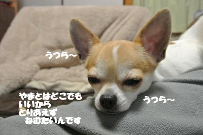 20130308+007_convert_20130308110637.jpg