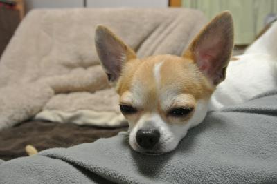 20130308+007_convert_20130410143201.jpg