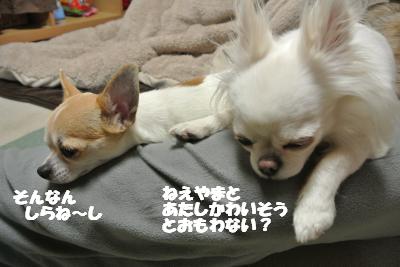 20130308+009_convert_20130308110732.jpg