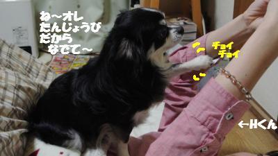 20130311+001_convert_20130312142011.jpg