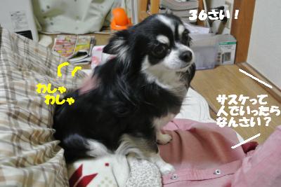 20130311+004_convert_20130312142146.jpg