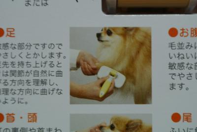 20130311+009_convert_20130312142248.jpg