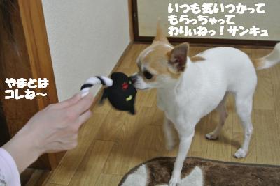 20130311+010_convert_20130326110236.jpg
