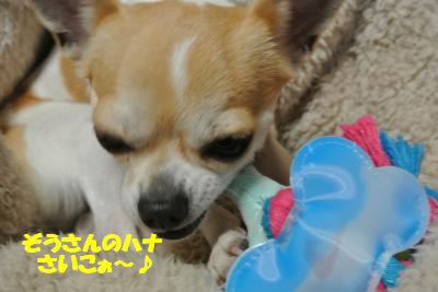 20130311+018_convert_20130312142530.jpg