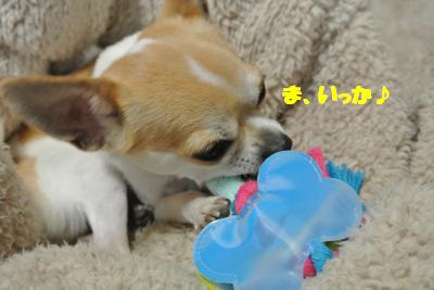 20130311+019_convert_20130312142556.jpg