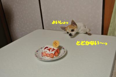20130311+026_convert_20130312101040.jpg