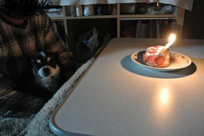 20130311+030_convert_20130312100928.jpg