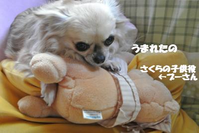 20130318+001_convert_20130318092726.jpg