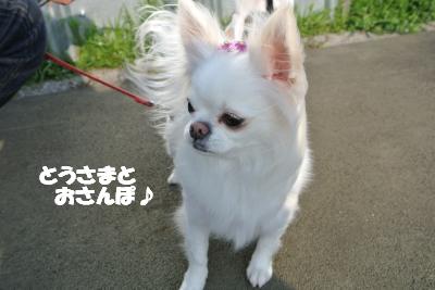 20130318+010_convert_20130318133606.jpg
