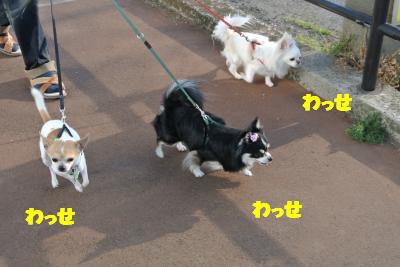 20130318+012_convert_20130318133702.jpg