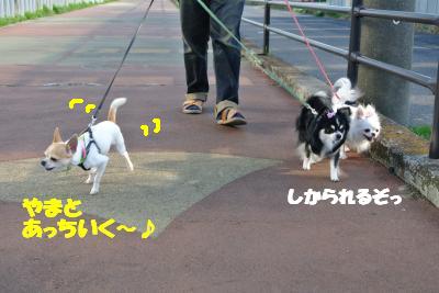 20130318+014_convert_20130318133733.jpg
