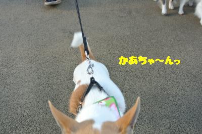 20130318+015_convert_20130318133800.jpg
