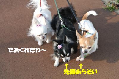 20130318+019_convert_20130318133901.jpg